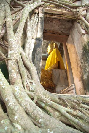 Ancient Buddhist church surrounded by tree roots,Samut Songkhram Province,Thailand の写真素材