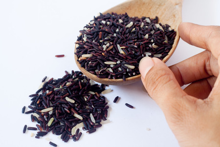Closeup of raw purple Riceberry rice, it is a crossbred between Thai Hom Nil (black jasmine rice) and white Jasmine riceの写真素材
