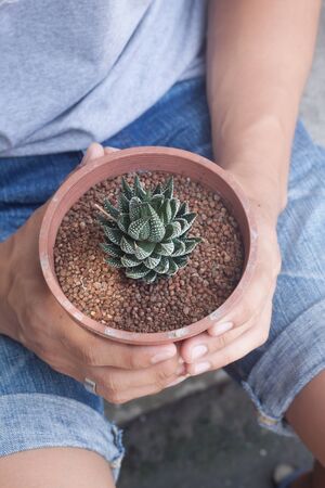 A man holding a pot of cactusの写真素材