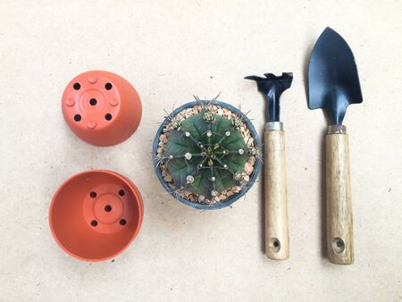Still Life Gardening tools on Vintage Brown Color Backgroundの写真素材