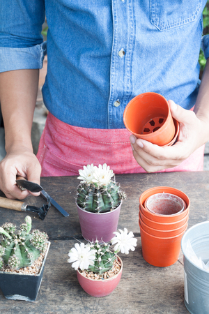 Man in jeans shirt holding garden tools, gardening cactus in pot plantの写真素材