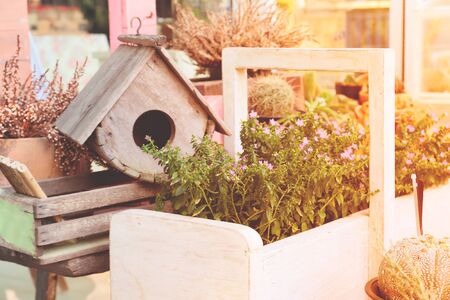 Garden decorations with bird house and small plants with spring season colorの写真素材