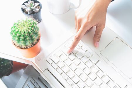 Business female using laptop. Technology and officer conceptの写真素材