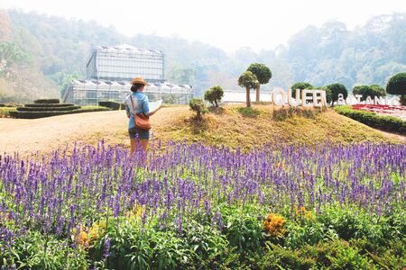 Young traveller looking on map, Queen Sirikit Botanic Garden, Chiang Mai, Thailandの写真素材