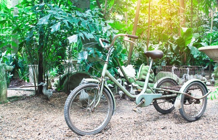 Old bicycle in home gardenの写真素材