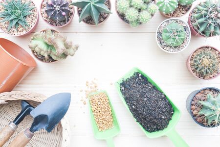 Creative flat lay gardening desk with Cactus plants in pot and garden toolsの写真素材