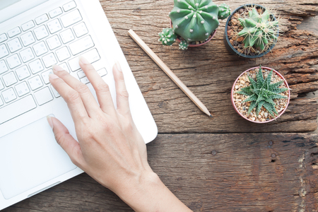 Top view of Cactus gardener's workspace, Online shopping or Marketing concept, woman's hand using laptopの写真素材