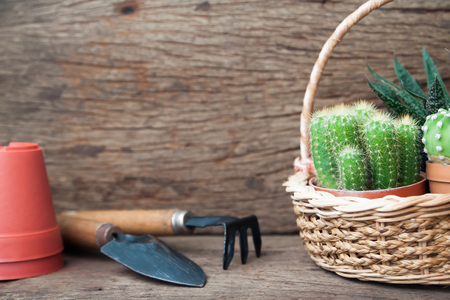 Cactus plants in basket and garden tools on wooden table, Hobby and Lifestyle conceptの写真素材