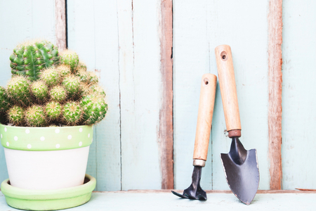 Garden tools and cactus plant on the terrace in the gardenの写真素材