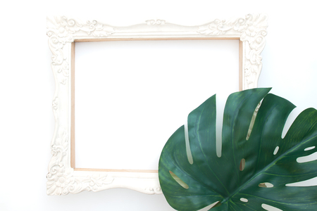 Classic style white picture flame and plant leaf on white background, Creative spaceの写真素材