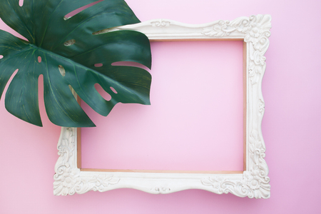 Tropical jungle leaf, Monstera on white vintage style picture flame on pink backgroundの写真素材