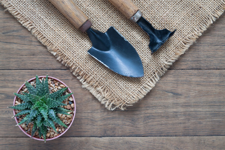 Flat lay cactus plant and garden tools on wooden table, Gardening の写真素材