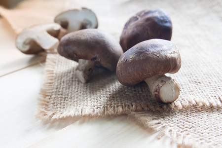 Raw and fresh mushrooms on sackcloth, Healthy food conceptの写真素材