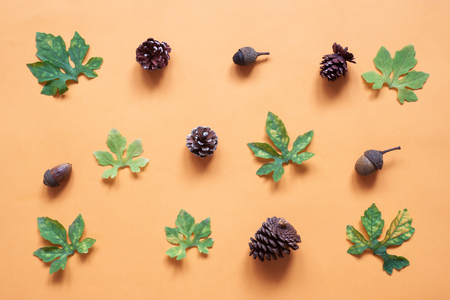 Autumn composition, Plant leaves and pine cones on orange colour background, Top view, Flat layの写真素材