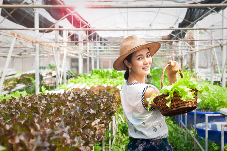 Happy and beauty asian woman holding salad vegetables basket in farm. Healthy lifestyle. Woman's healthの写真素材