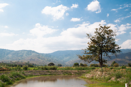 Lovely landscape of countryside hills and valleys with river in sunny dayの写真素材