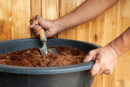 Man hands preparing soil for plantingの写真素材