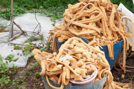 Used sponge from agriculture system. Waste and environment conceptの写真素材