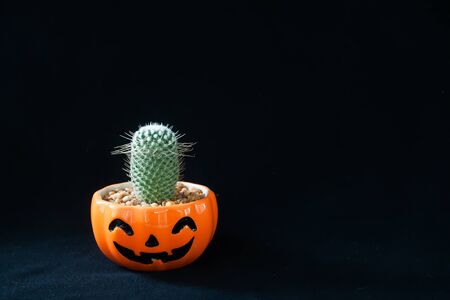 Accessory of decorations Happy Halloween day background concept with cactus plantの写真素材