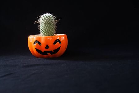 Accessory of decorations Happy Halloween day background concept with cactus plant