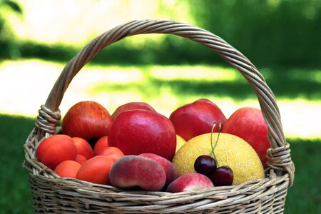 basket with fruit, closeup, sunny garden in the backgroundの写真素材