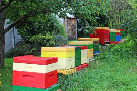 row of colorful bee hives in a garden near a house