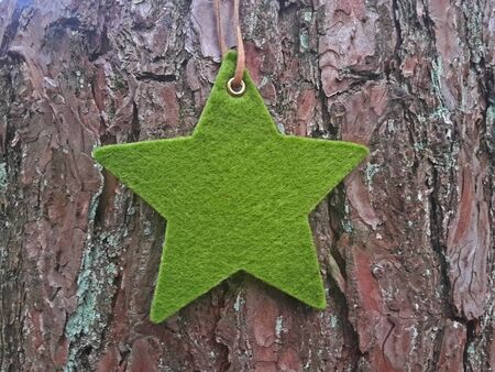 Christmas background with green felt star on the bark of a coniferの写真素材