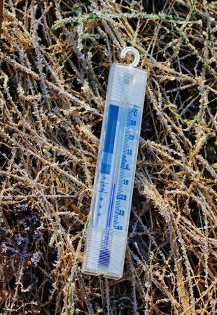 freezing temperatures, centigrade thermoter lying in grass covered with hoarfrost, at sunlightの写真素材