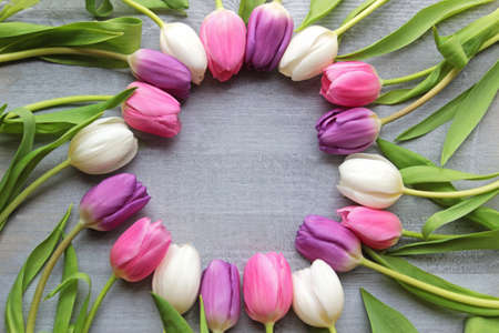 circle formed by white, purple and pink tulips on sliver gray woodの写真素材