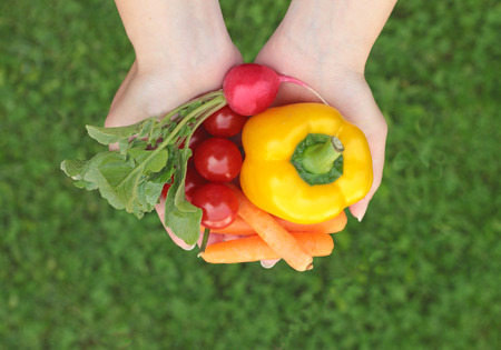 hands of a young woman holding vegetables, grass backgroundの写真素材
