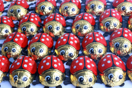 lucky ladybirds made from chocolate in rowsの写真素材