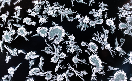 white and green shimmering ice crystals on a window, black backgroundの写真素材