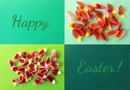green Easter greeting card with text and colorful tulip petalsの写真素材