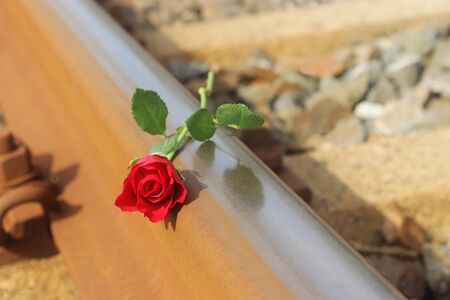 red rose lying on a railroad track, farewell symbolの写真素材