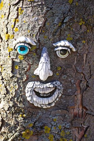 tree ghost on a tree trunk, antropomorphic faceの写真素材