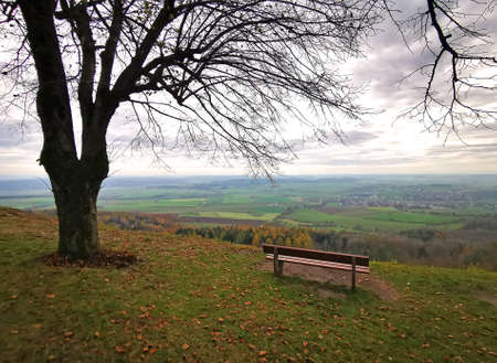 view showing a bench and a bare tree on a mountain and a panoramic view to an autumn landscapeの写真素材