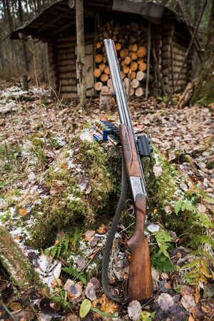 Hunting rifle with collimator sight and ammunition lying in the forest.