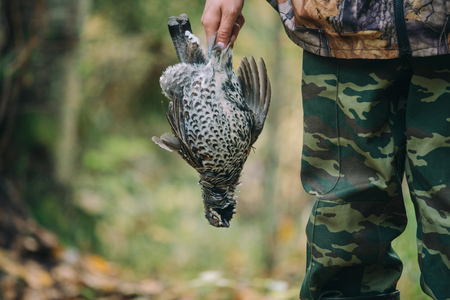 Hunter with hunting rifle and wildfowlin autumn forestの写真素材