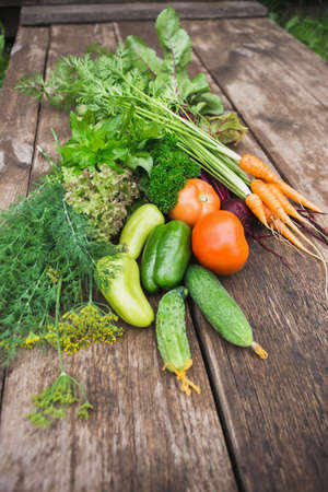 Fresh vegetables close-up. Cucumbers, tomatoes, dill, parsley, mint. Season harvesting.の写真素材