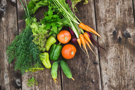 Fresh vegetables close-up. Cucumbers, tomatoes, dill, parsley, mint. Season harvesting.