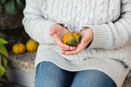 The girl's hands hold small pumpkins, close-up. A woman is wearing a gray wool sweater.の写真素材