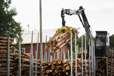 Loading of timber on railroad cars. Loader in workの写真素材