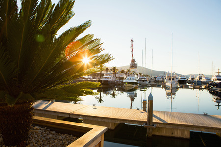 Luxury yachts moored to the pier in the marinaの写真素材
