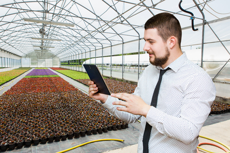 Manager with a tablet in a modern greenhouse. Smart farmingの写真素材