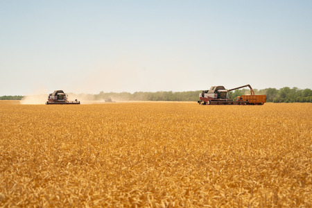 Combine harvester for harvesting wheat. Agricultural machinery