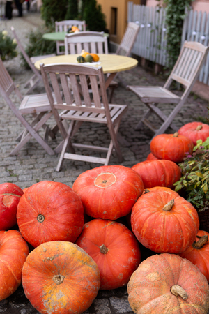 Autumn decoration with pumpkins on the street of a European cityの写真素材