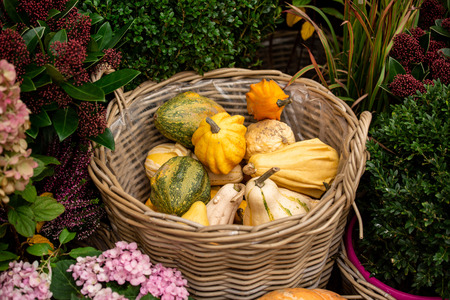 Autumn decoration with pumpkins and flowers at a flower shop on a street in a European cityの写真素材