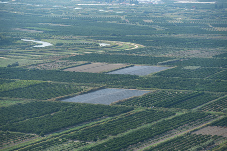 Top view of agricultural land. Valley of fields and fruit farms with irrigation system