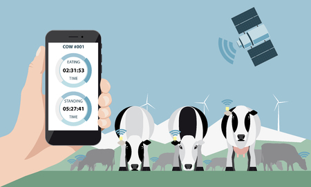 Control of a herd of cows on a dairy farm via satellite. Smart farming.のイラスト素材