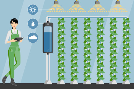 Asian woman farmer with digital tablet in greenhouse with vertical gardens. Smart farm with wireless control. Vector illustration.のイラスト素材